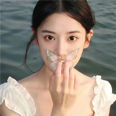 年度鸟事